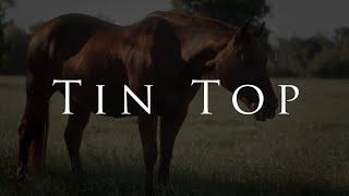 Tin Top - Official Season 1 Trailer coming to HORSEpro TV and YouTube