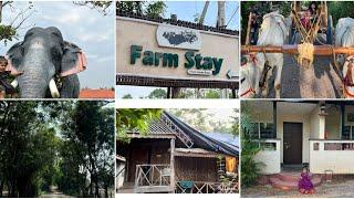 One of the best resorts near Hyderabad/ Farm stay resort / Best weekend chillout