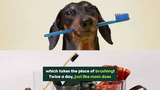 Ark Naturals Brushless Toothpaste Mini Breed Dental Dog Chews | PuppySimply