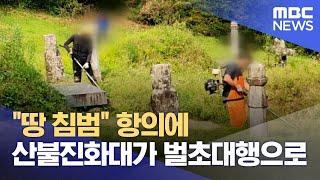 "땅 침범" 항의에 산불진화대가 벌초대행으로 (2024.12.26/뉴스데스크/원주MBC)