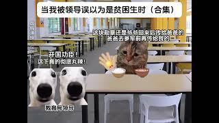 当我减肥时遇到了学校领导视察（超长畅享版） #猫meme #猫meme小剧场