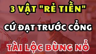 3 Vật Phong Thủy Cực Rẻ: Đặt Trước Cửa, Cả Năm Phát Tài Phát Lộc!