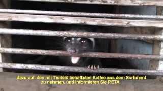 PETA: Schleichkatzen eingesperrt für Kaffee / Civets caged for Coffee