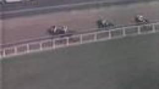 Buckpasser - 1966 Jockey Club Gold Cup