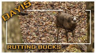 Jared Day 15: 7th Encounter With Same Buck, Devastating Winds