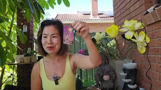 Thông điệp cho hành trình phía trước của bạn/The Turning Point #soultalkbychloe #universe #tarot