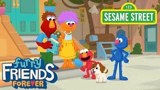 Sesame Street: Furry Friends Forever: Elmo Gets a Puppy | Available 8/5 on HBO Max