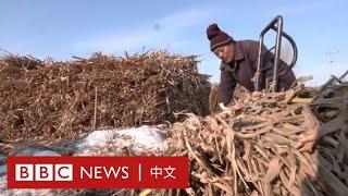 中國東北「鏽帶」的養老金危機－ BBC News 中文