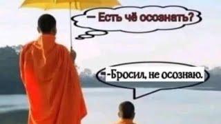 31 день чистоты. Бургер или Фо Бо? Помощь детям, донаты, власть, Познер, умные книги, смысл жизни.