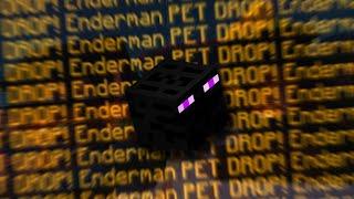 I FINALLY GOT THE LEGENDARY ENDERMAN PET! Hypixel Skyblock