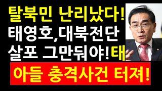 (김영호장관!)탈북민들 난리났다! 태영호, 대북전단 살포 그만둬야! 태영호, 아들 충격사건 터져!