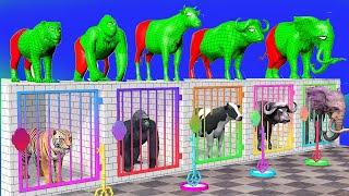 Cow Elephant LION Animation Gorilla Guess The Right Key | ESCAPE ROOM CHALLENGE Animals Cage Game