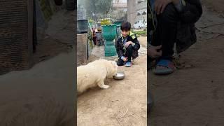 save animal. kya saim ne teakh kiya #animals #emotional #viralvideo #shorts #short #shortvideo