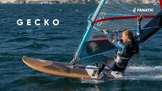 Fanatic Gecko & Gecko Foil 2022 - Freeride - Product Clip