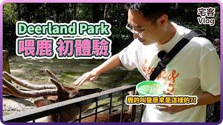 【動物園】一家人的第一次喂鹿體驗 |【宅客Vlog】ep.5