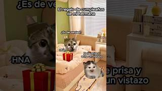 El regalo de cumpleaños de mi hermana  #historiasdegatos #cumpleaños #gatitos #cats #storytime