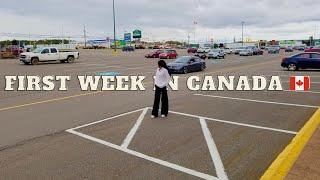 My first week in Canada(Nova Scotia) | SIN, bank acct, new sim card, shopping, my apartment & more