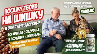 Зоокедр: Не бады, а то, что ветеринар рекомендует для иммунитета животных и их здоровья