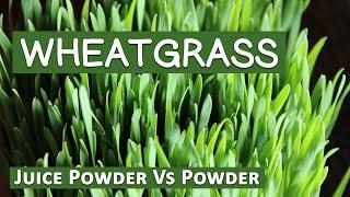 Wheatgrass Powder Vs Wheatgrass Juice Powder Explained