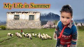 Shiraz Etny Arsay Kahan Ghayeb Hogya Tha | Pahadi Cute Bacha