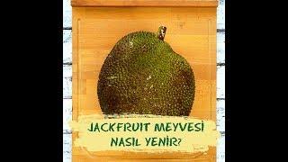 Jackfruit Nasıl Kesilir?