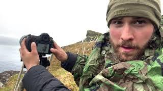 Wildlife photography -Puffins. The start of it all.