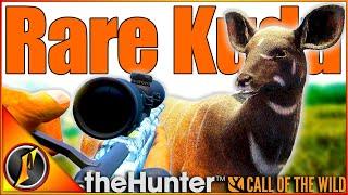 RARE Kudu!! ... But The Wrong One!  | theHunter Call of the Wild!