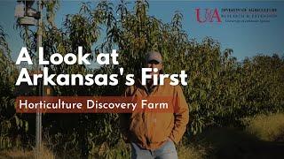 A Look at Arkansas's First Horticulture Discovery Farm