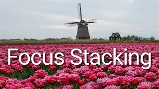 Wat is focus stacking en hoe werkt het precies?