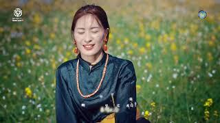 Tseka Tibetan Song 2024 སྐྱིད་པ་དེའི་དོན་ཡིན།丨རྟ་ཐོག་རྡུང་ལེན། ལེན་མཁན། ཚེ་ཀ