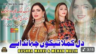 Dil Kamla | Bushra Marvi & Mehak Malik | Official Video Song | Shaheen Production 2025