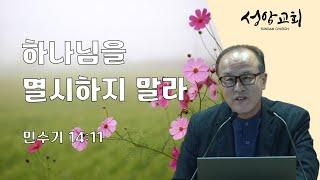 "하나님을 멸시하지 말라" 민수기 14:11 송요한 목사 | 2024-9-11 수요예배