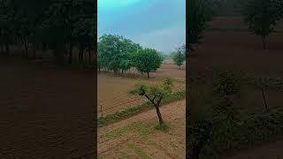 BAARISH KE AANE SE: SHREYAGHOSHAL, TONY KAKKAR |MANISHARANI,#farming #nature #villagelife #trending