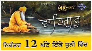 12 Hour Waheguru Simran | 12 ਘੰਟੇ ਵਾਹਿਗੁਰੂ ਸਿਮਰਨ  | 12 घंटे वाहेगुरु सिमरन | shabad guru tv