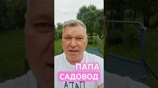 Папа не только в декрете, но еще и садовод #папавдекрете #юмор #отцовство #отец #летнийотдых