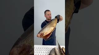 ️СЕВЕРНЫЕ АРОМАТЫ, ПЛЕНИТЕЛЬНЫЕ ВКУСЫ! Откройте для себя Север.