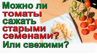 Возраст семян томатов и огурцов  для гарантированного урожая.