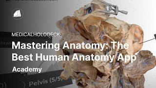 Mastering Anatomy: The Best Human Anatomy App for Mobile, AR, and VR | Free Download