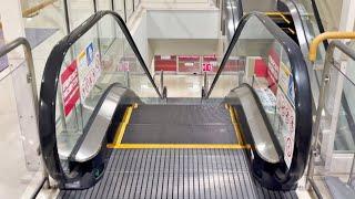 【起動ありエスカレーター】イオンモール東久留米 ノースコート下り【FUJITEC】Escalator,AEON MALL Higashikurume North Court