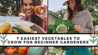 7 Easiest To Grow Vegetables For Beginners | Gardening 101