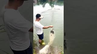 Fishing-net lowering process with four-oar electric tugboat