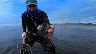 Collecting sea shellfish at low tide.