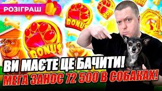 Фантастичний занос 72 000 в Dog House megaways | Заноси недели #жолудь #онлайнказино #jackpot