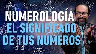 TU NUMEROLOGÍA y NÚMEROS MAESTROS que TIENES que CONOCER ¡Las SEÑALES de los NÚMEROS! | Fer Broca