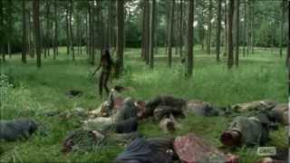 The Walking Dead season 4 s04e09 - Michonne (katana scene)