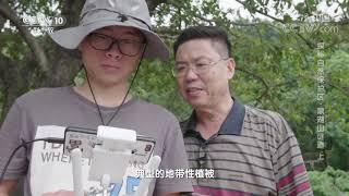 《地理·中国》 20200228 探秘自然保护区·鼎湖山谜迹 上| CCTV科教