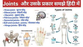 Joints | संधि | Synovial Joint | Anatomy and Physiology | Nursing | Pharmacy | MBBS | BMLT | DMLT