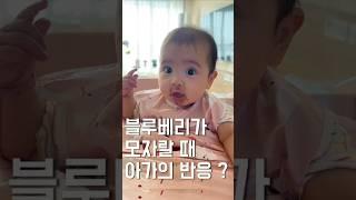 블루베리 맛을 알아버린 아기의 반응은? #육아 #아기 #기록 #baby #cute #cutebaby #육아일기 #일상 #맘스 #맘스다이어리