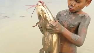 Primitive Boy Catch Giant Big Fish By Mud In Dry Season – Best Hand Fishing By Mud  In Dry Season