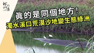 濁水溪河口的生態綠洲｜脫離「攪飯配沙」的日子(我們的島第1209集 2023-06-19)